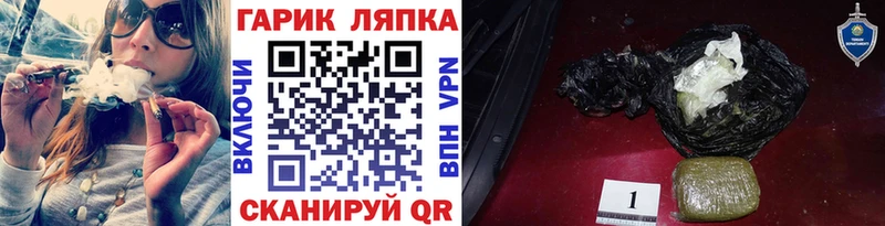 где можно купить   Устюжна  ГАШ гарик 