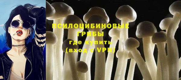 не бодяженный Абдулино