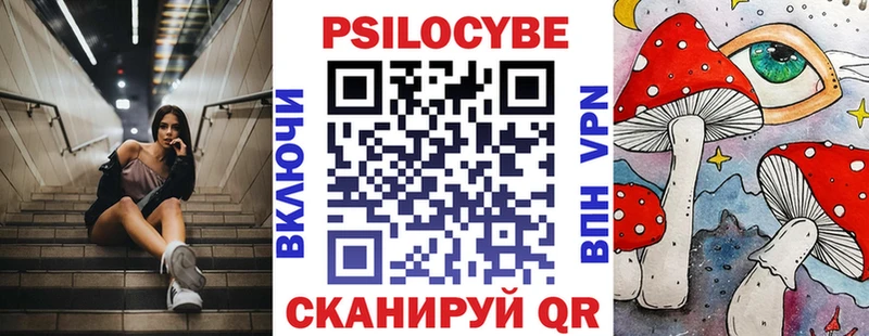 купить   Устюжна  Галлюциногенные грибы Magic Shrooms 